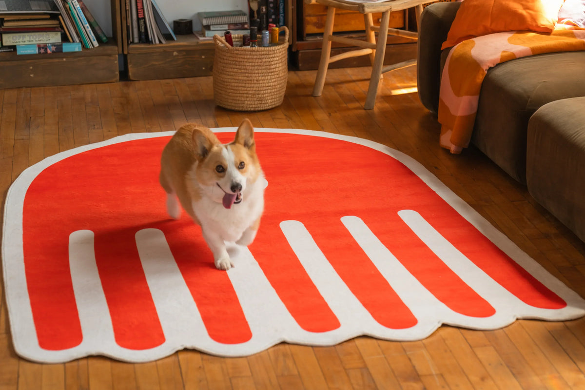 Best Rugs for Dogs: Stylish, Durable, and Easy to Clean