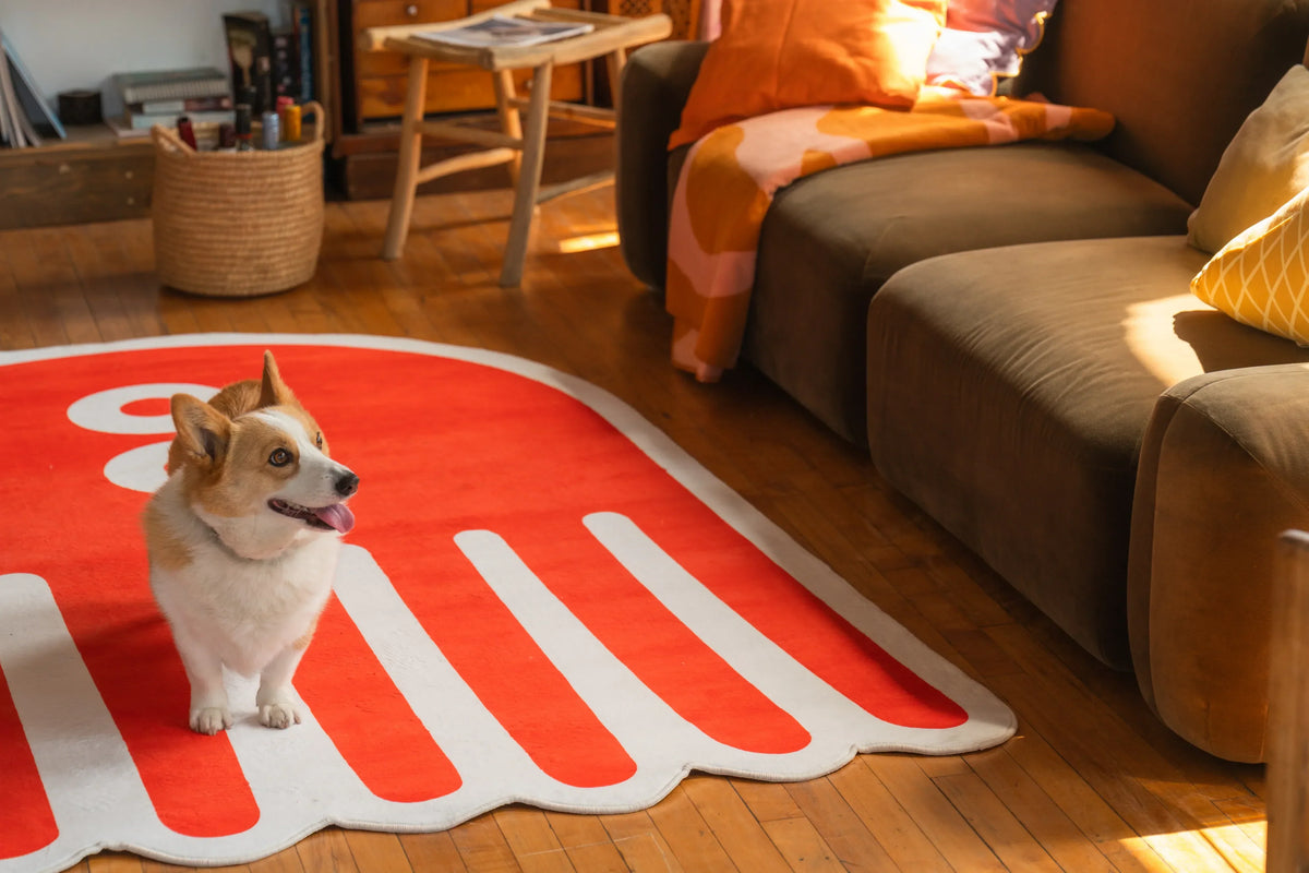 Designer Rug Guide: Styles to Elevate Your Space