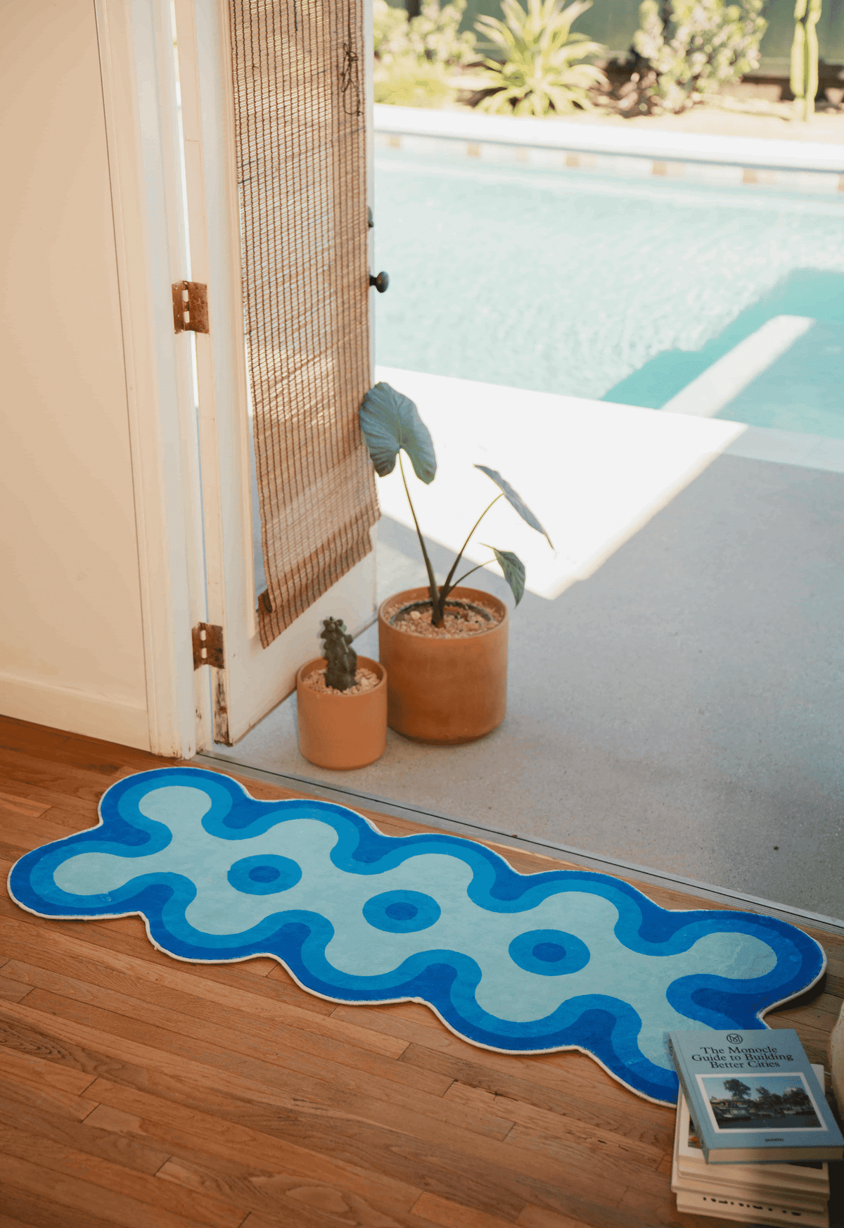Blue and light blue coral runner rug beside patio door, placed on wood floor next to potted plants and facing swimming pool.