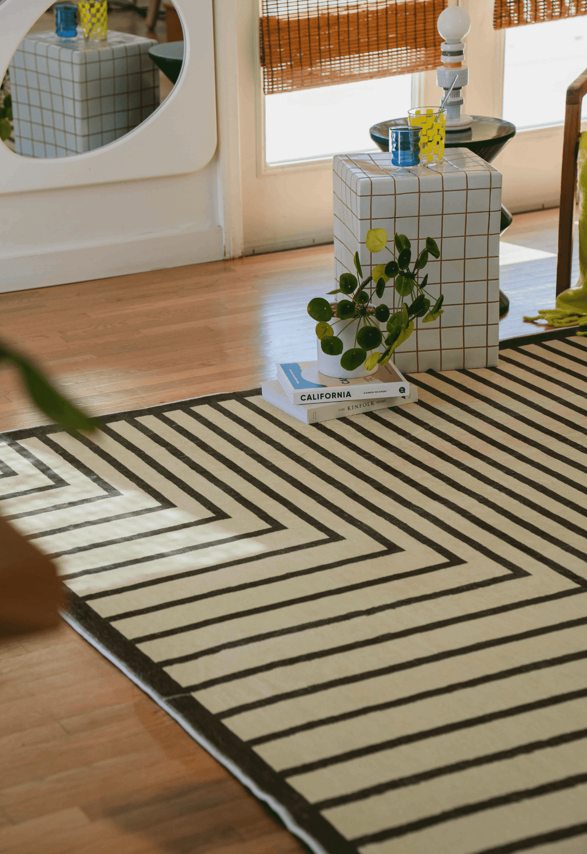 Minimalist rug detail with olive stripes beneath plant stand and books, sunlight casting shadows across surface.