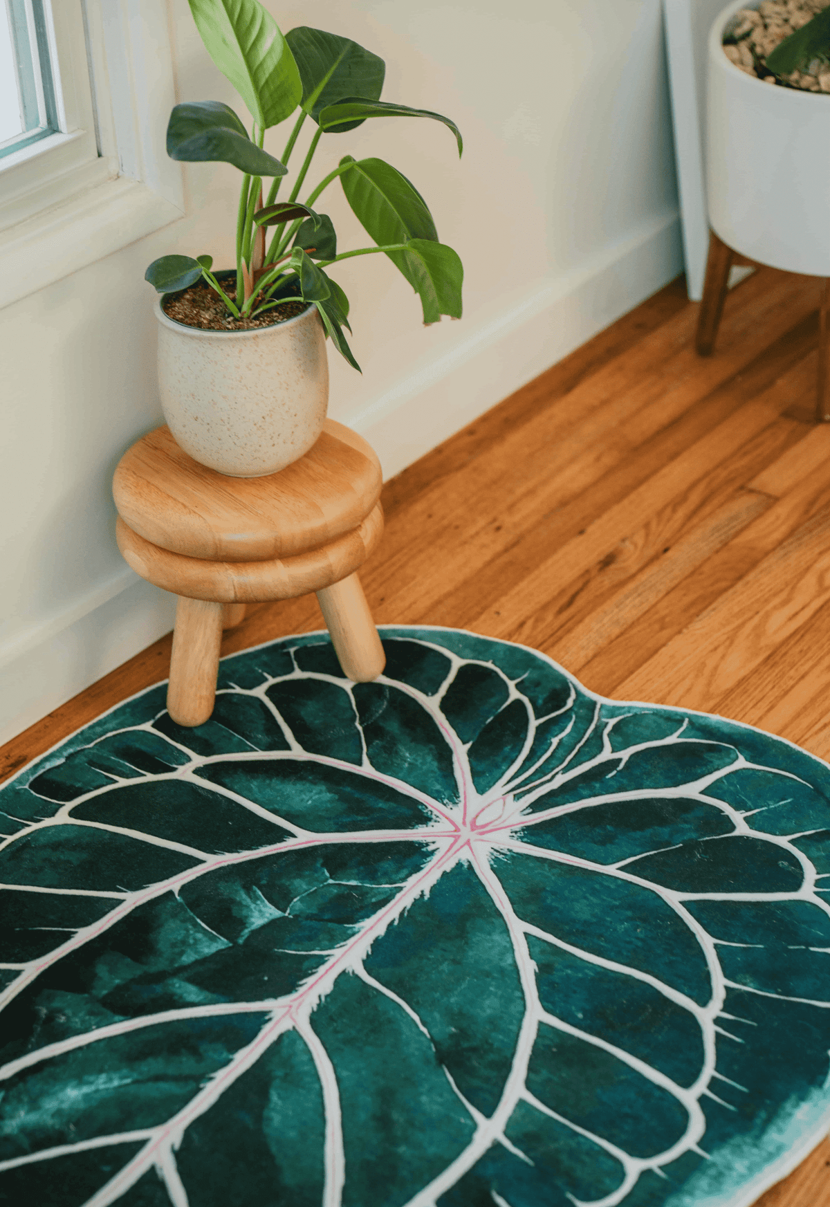 Leaf rug set near a low stool with potted greenery, resting against a white wall on wood floor.