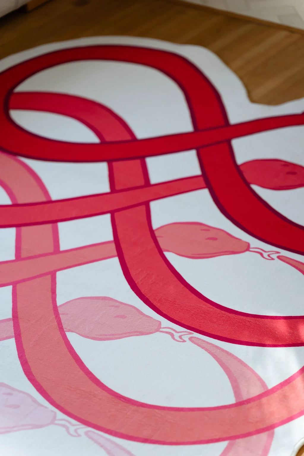 Close up of the abstract area rug with interlocking red loops and blush pink bands on a light wood floor