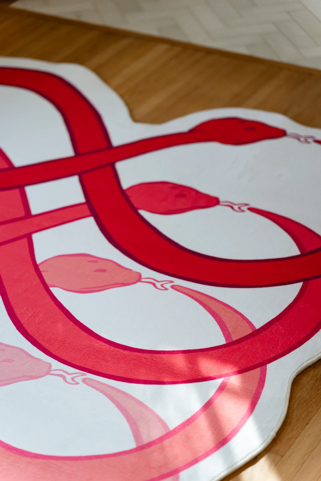 Graphic loop rug detail showing bold red snake like curves crossing a white background