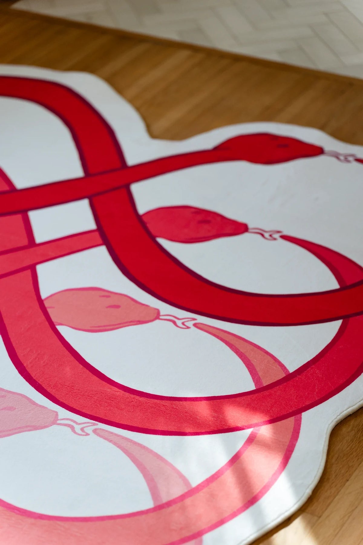 Graphic loop rug detail showing bold red snake like curves crossing a white background