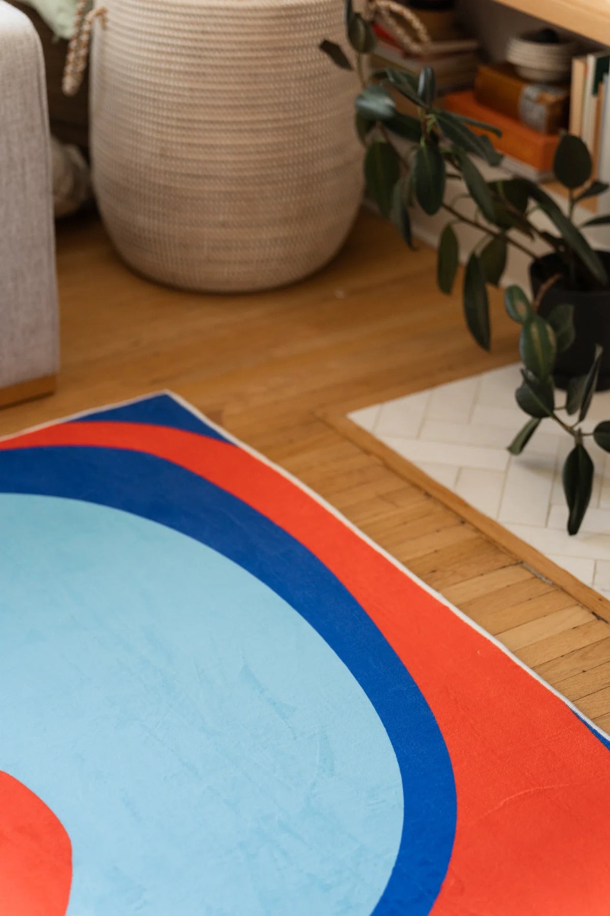 Blue and red rug corner near a woven basket and plant, showing a large pale blue field and curved red edge