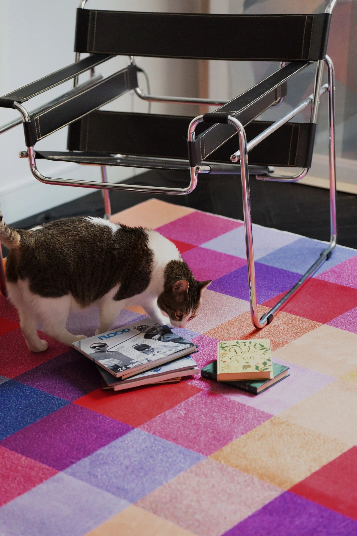 Rust red checkered rug under a chrome chair as a cat sniffs magazines in a home office