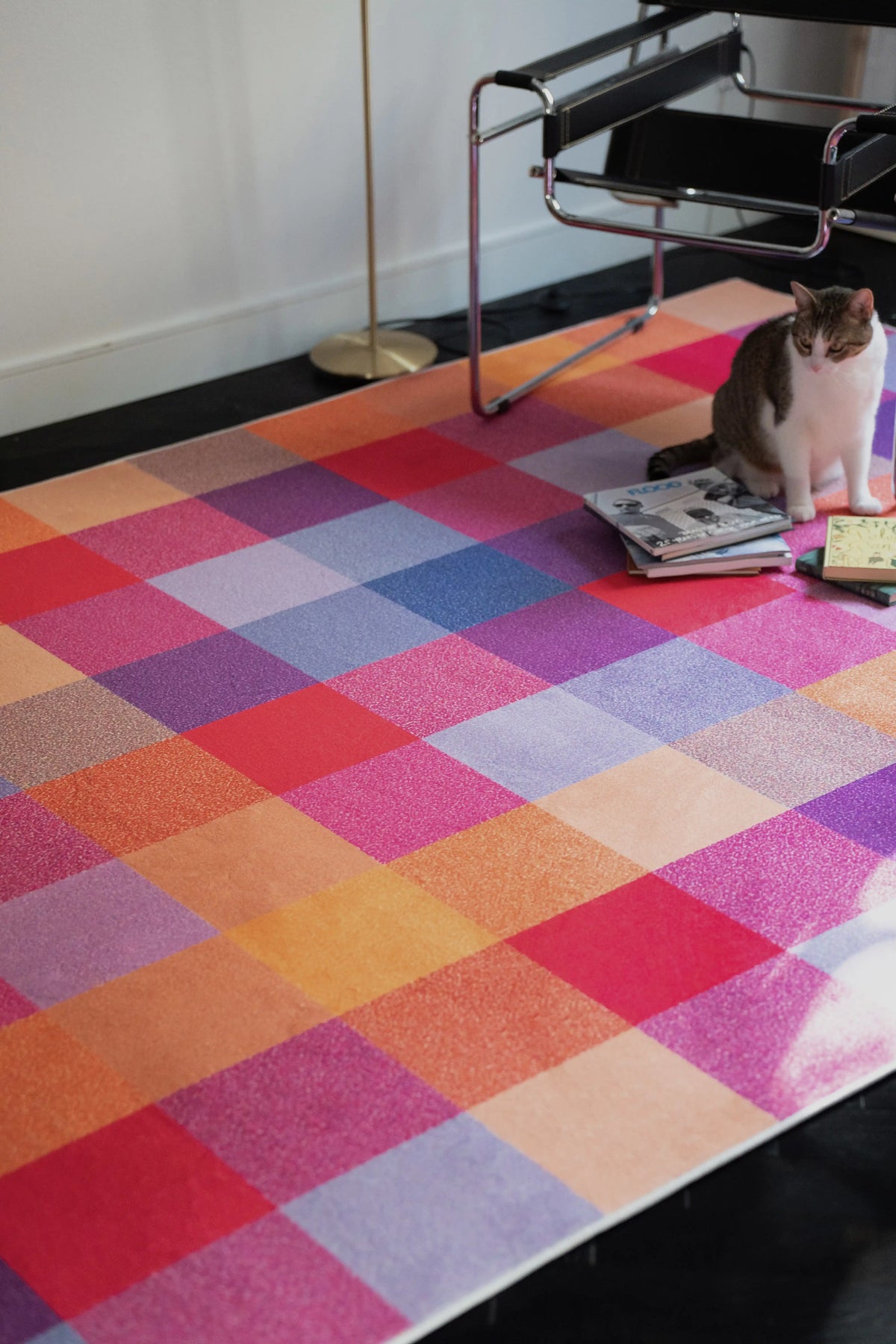 Vintage checkered rug under a chrome chair with a cat stepping onto the edge of the pattern