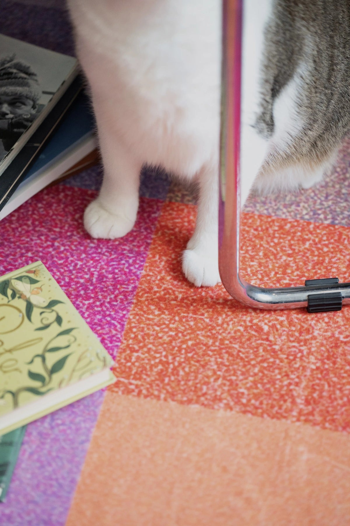 Close up of a cat standing on the checkered rug beside a chrome chair leg