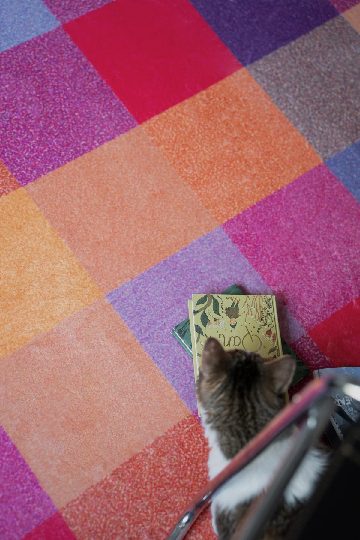 Cat playing with books on a colorful checkered rug