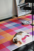 Vintage rug with layered color blocks as a cat rests beside a chrome chair in a studio corner