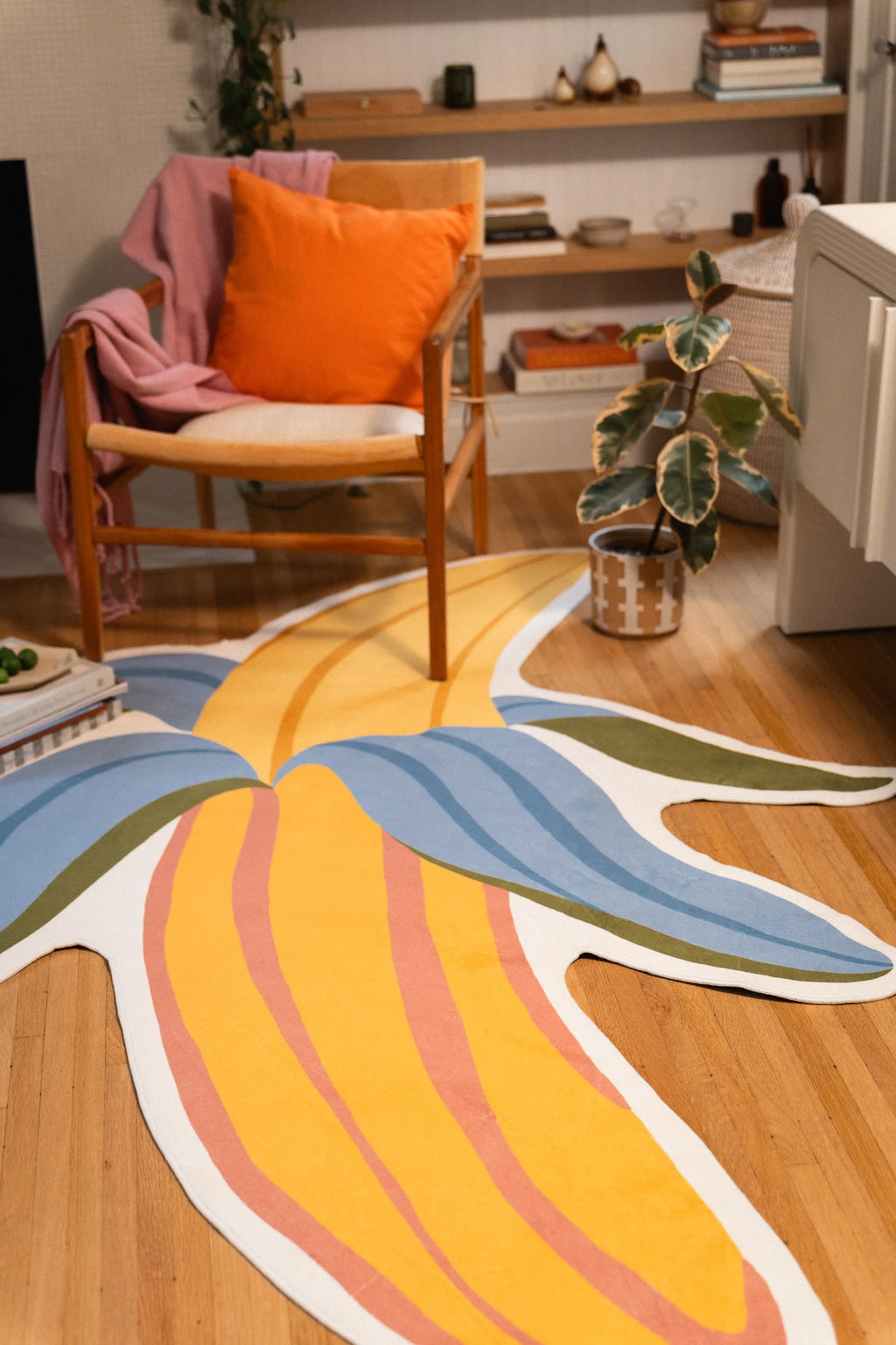 Yellow banana fruit with pink curved stripes and blue peel sections beneath a wooden chair beside a potted plant.