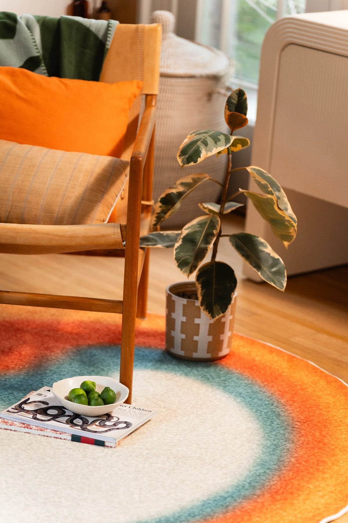 Orange and teal circle rug beside wooden chair legs and a potted plant, with green fruit resting on a magazine.