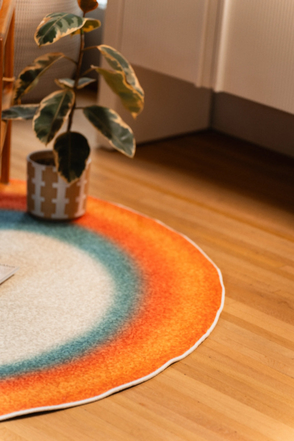 Close-up of the orange and teal rug edge on a wood floor beside a potted plant and white cabinet.