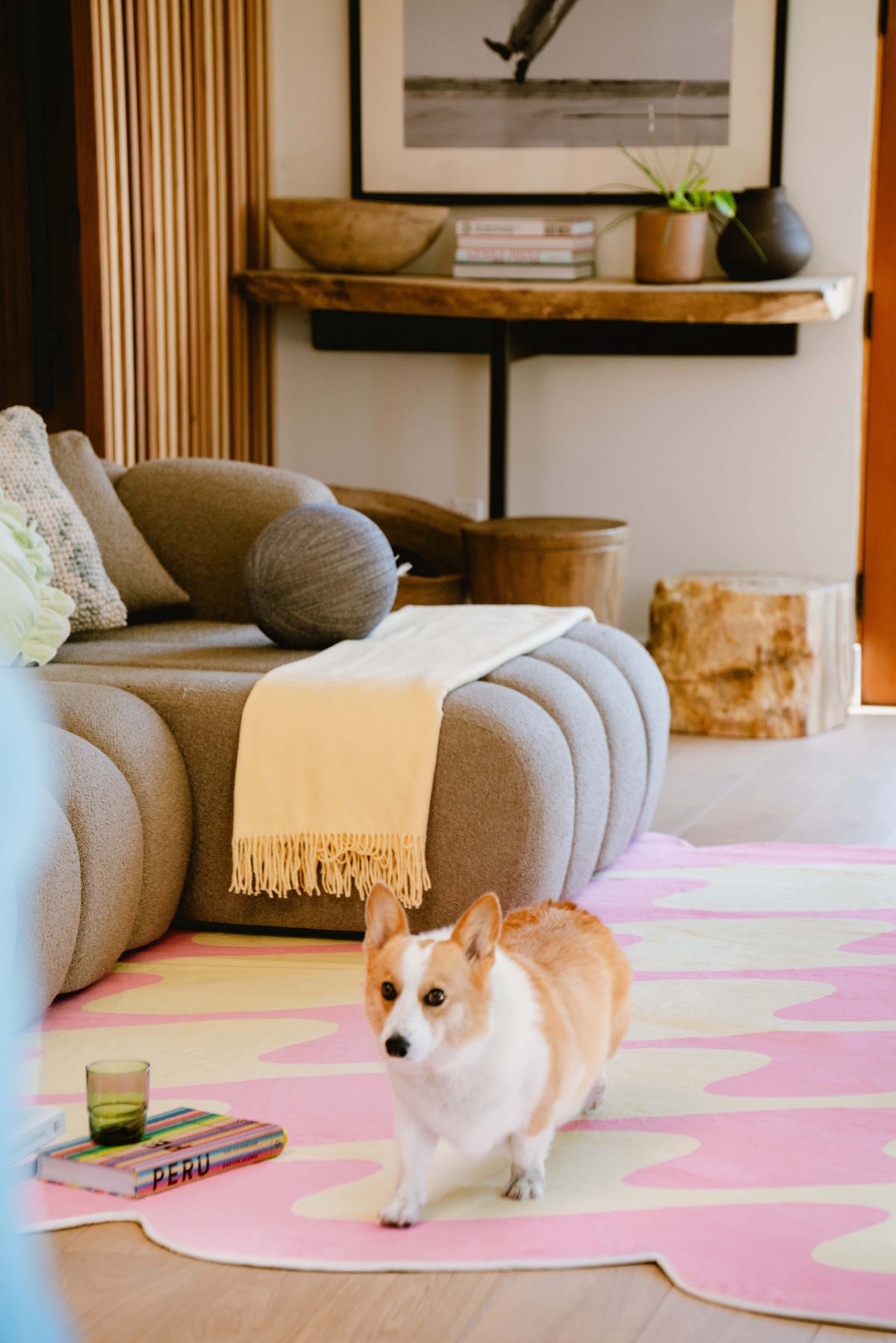 A corgi stands on a pink and yellow wavy rug next to a book and glass, with a beige throw on the sofa in the background.