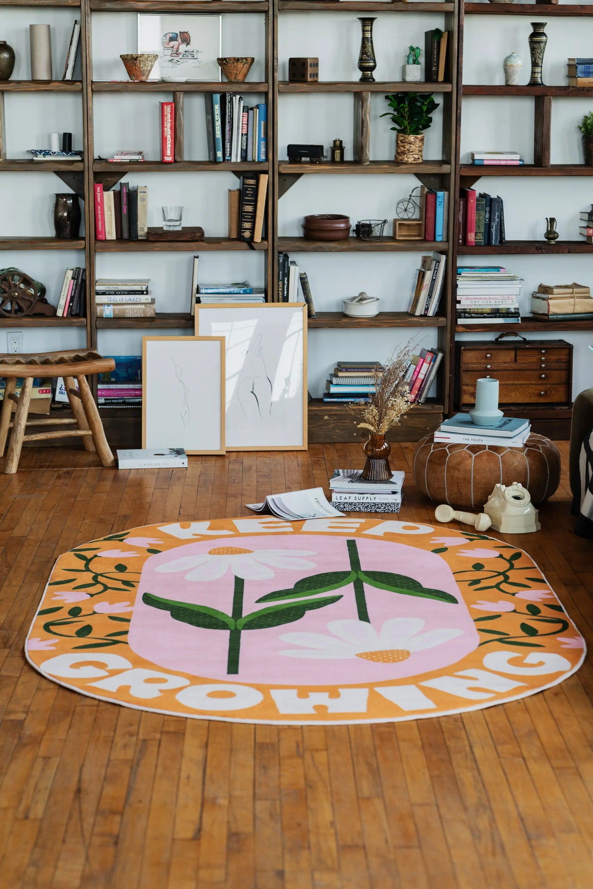 Modern area rug in oval daisy style placed on warm wooden floor in the living room with tall shelves filled with books and art.
