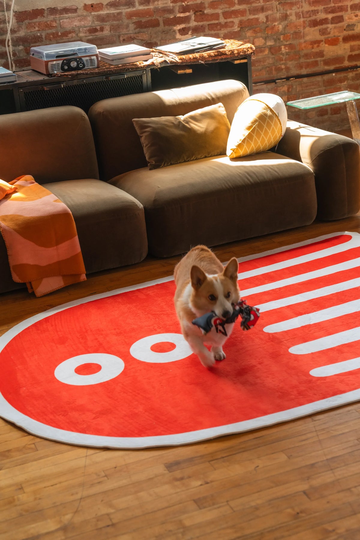 Orange abstract rug on wood floor with corgi dog playing, modern pet friendly rug for apartment decor