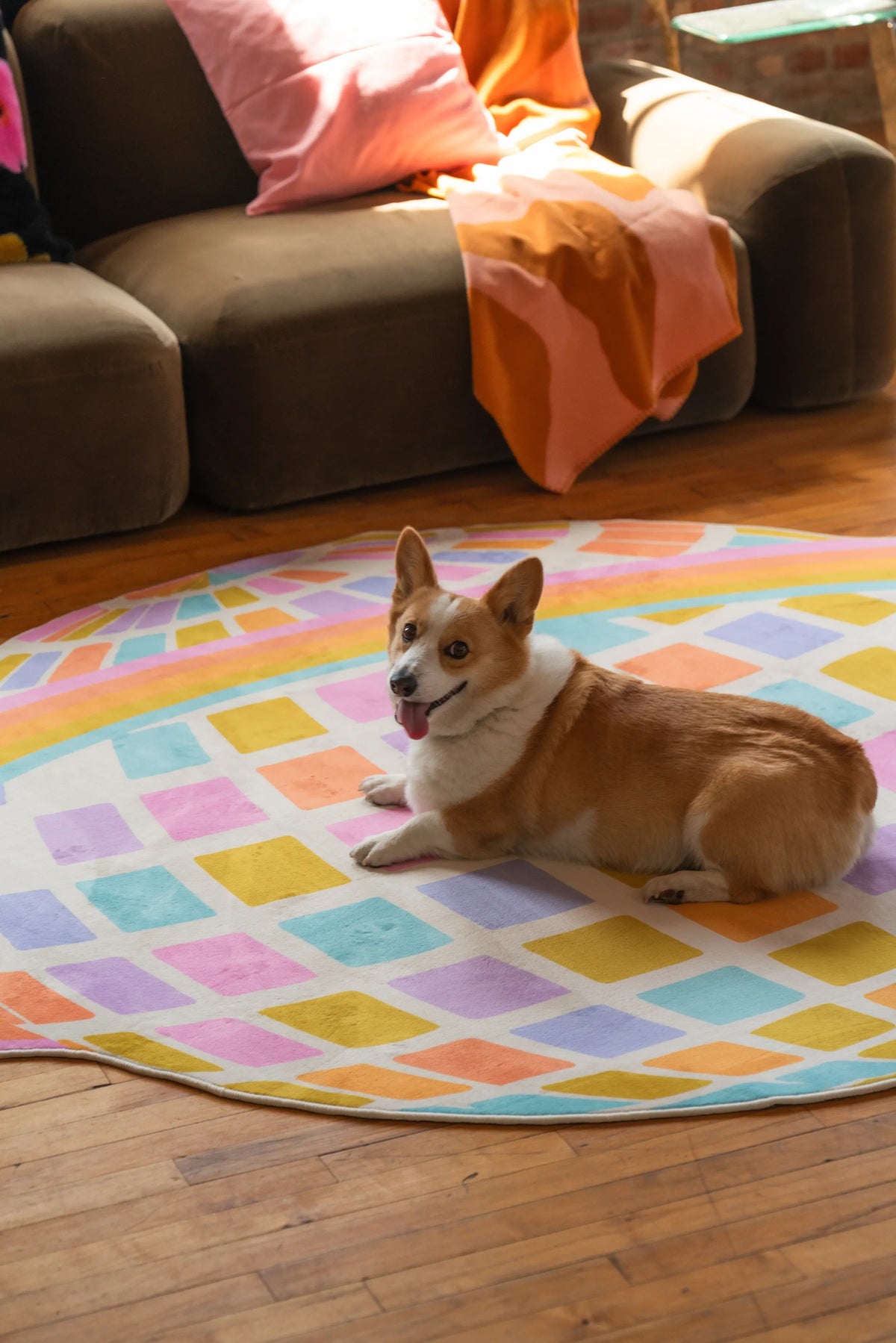 The corgi lounges on the colorful planet checkered rug, framed by cozy seating and natural light