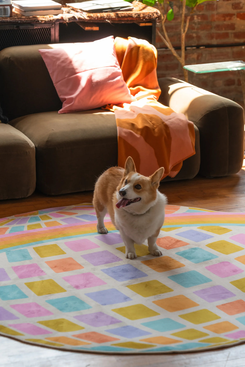 A cheerful corgi walks across the disco planet checkered rug, set on wood floors in a warm, inviting space.