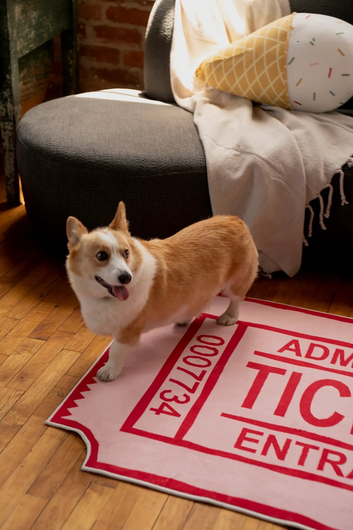 Dog standing on a large ticket-shaped rug in a living room.